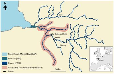 Isotopic niches of diadromous fishes inform on interspecific competition in an obstructed catchment